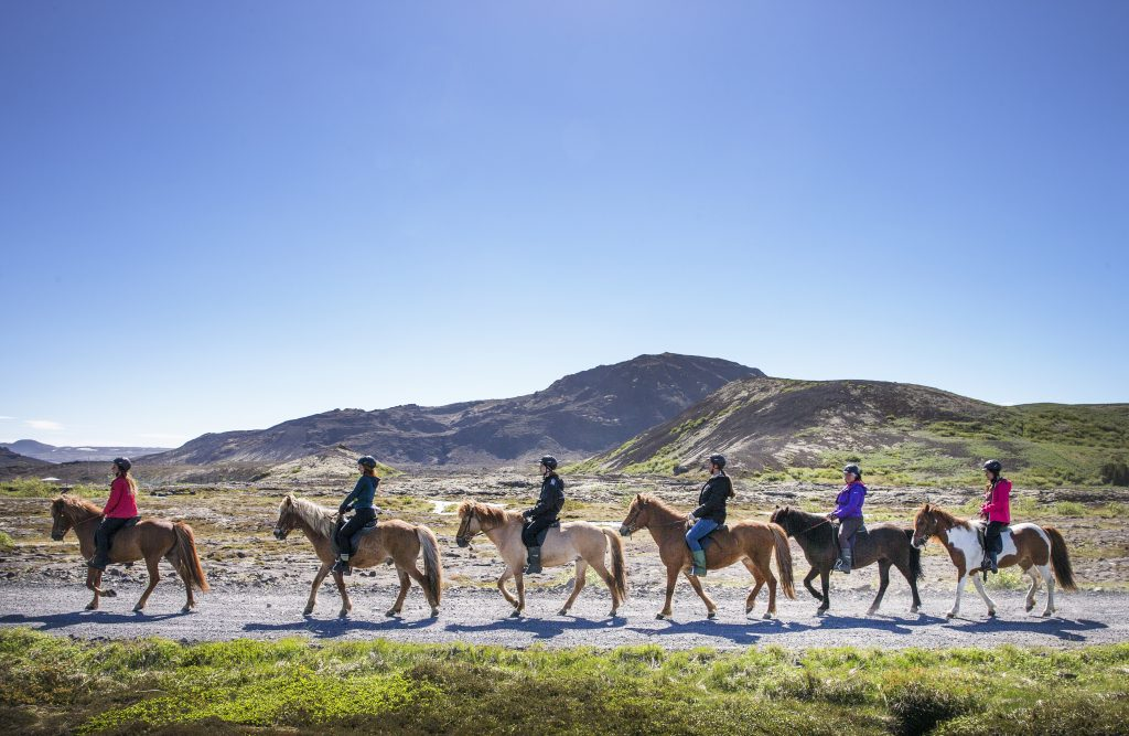 People riding horses in a row outdoors